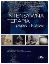 vigano-intensywna-terapia-psow-i-kotow