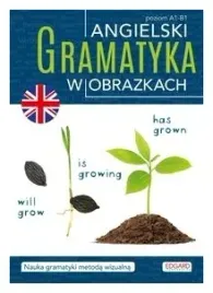 angielski-gramatyka-w-obrazkach-praca-zbiorowa