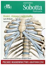 anatomia-sobotta-flashcards-kosci-stawy-i-wiezadla