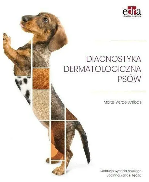 diagnostyka-dermatologiczna-psow
