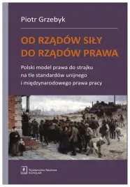 od-rzadow-sily-do-rzadow-prawa-polski-model