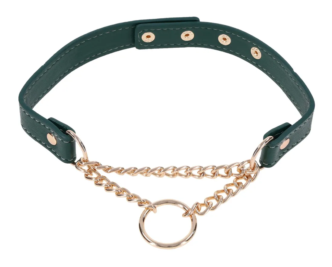 day-collar
