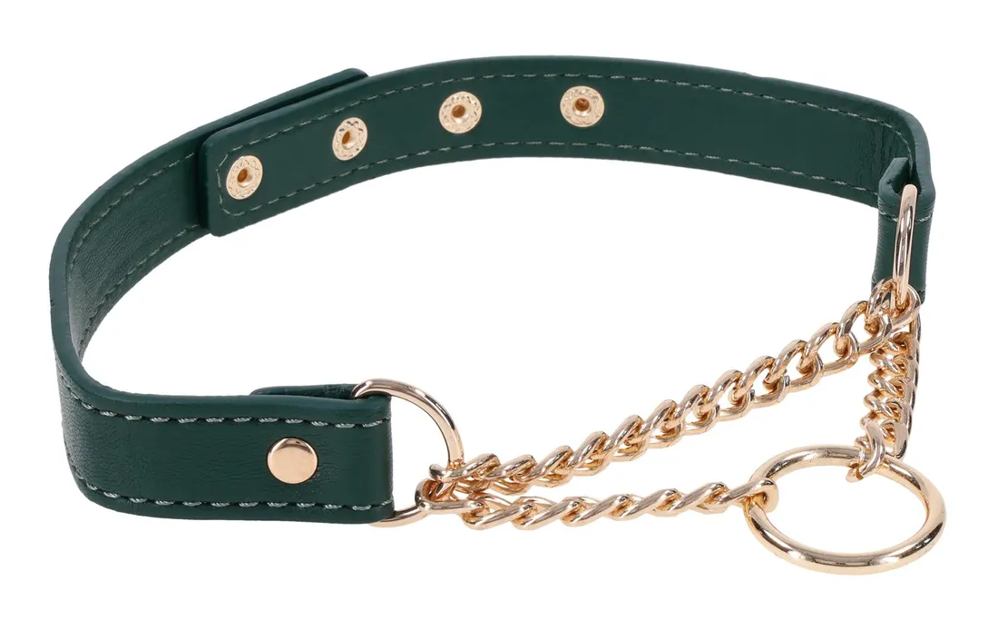 day-collar