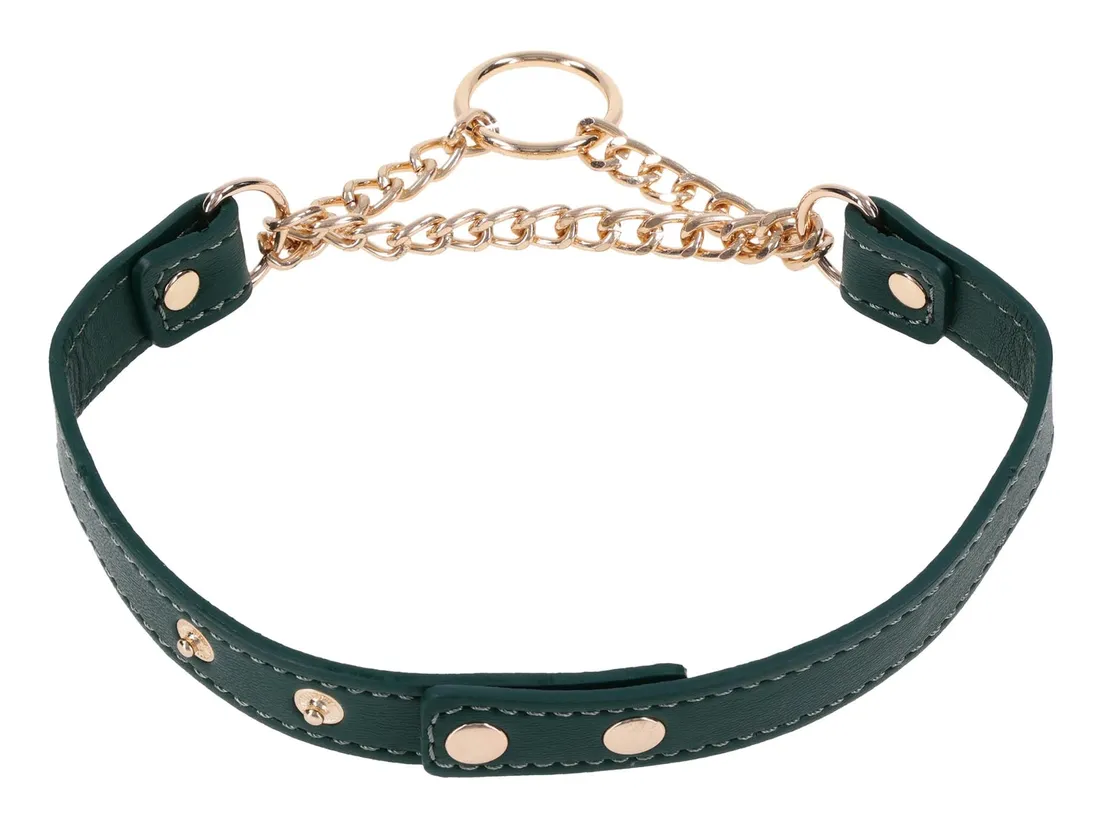day-collar