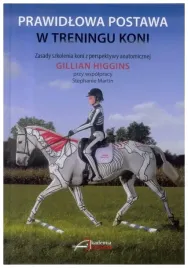 gillian-higgins-prawidlowa-postawa-w-treningu