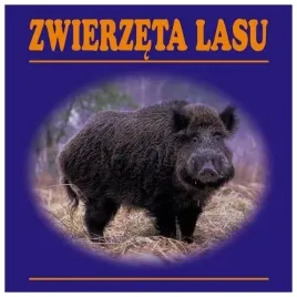 zwierzeta-lasu-harmonijka-praca-zbiorowa