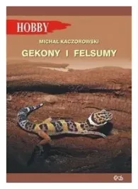 gekony-i-felsumy-michal-kaczorowski