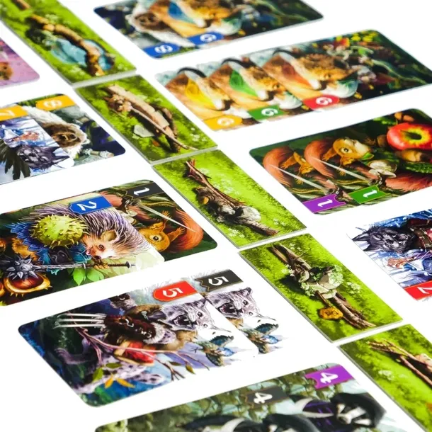 spor-o-bor-muduko-projektant-reiner-knizia
