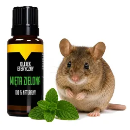 olejek-mietowy-na-myszy-gryzonie-bezpieczny-dla-dzieci-naturalny-eteryczny