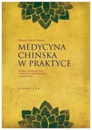 medycyna-chinska-w-praktyce-hamid-montakab