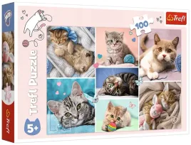 puzzle-100-w-kocim-swiecie-trefl-16420