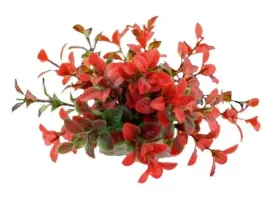 czerwono-zielona-roslinka-sztuczna-10cm-happet-aquatic-plant