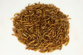 ziolowa-kotlina-suszona-larwa-macznika-przysmak-karma-dla-gryzoni-ryb-1kg