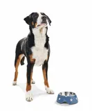 hunter-miska-aarhus-350-ml-stan-nowy