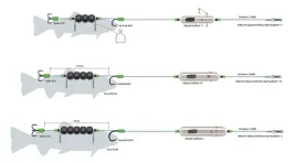 zestaw-sumowy-madcat-adjusta-profi-river-rig-worm-squid-s