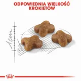 royal-canin-kitten-4kg-karmy-specjalne-nie-dotyczy