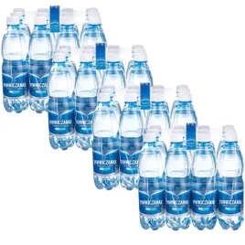 piwniczanka-naturalna-woda-mineralna-wysokonasycona-co-05-l-x-48-sztuk