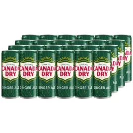 canada-dry-ginger-ale-napoj-gazowany-o-smaku-imbirowym-033-l-x-24-sztuk