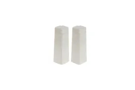 naroznik-zewn-do-listwy-masterline-15x60mm-1kpl2szt-sosna-morgins-mat