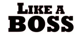 naklejka-bez-tla-na-auto-samochod-szybe-like-a-boss
