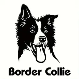 naklejka-bez-tla-na-auto-samochod-szybe-border-collie-pies
