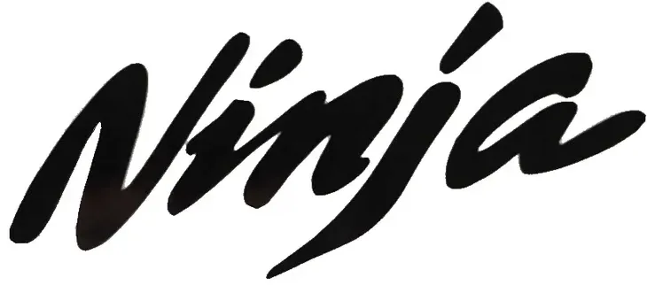 naklejka-auto-szybe-ninja