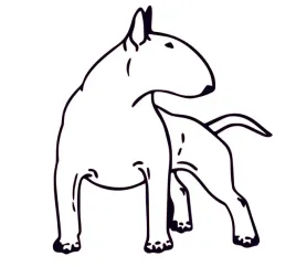 naklejka-na-auto-samochod-szybe-pittbul