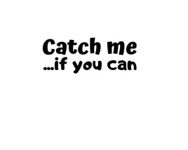 naklejka-na-auto-szybe-catch-me-if-you-can
