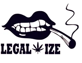 naklejka-na-auto-szybe-legalizacja-m