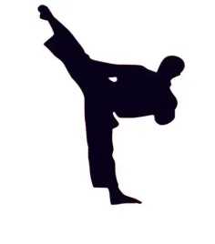 naklejka-na-auto-szybe-judo-taekwondo