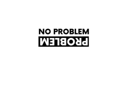 naklejka-na-auto-szybe-problem-no-problem
