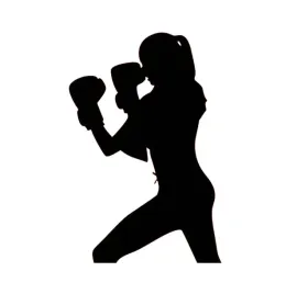 naklejka-na-auto-szybe-boxing-girl