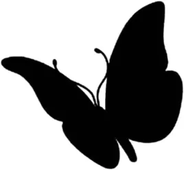 naklejka-na-auto-szybe-motyl-czulki