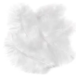 piora-indycze-biale-15-cm-5-szt