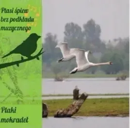 ptasi-spiew-bez-podkladu-muz-ptaki-mokradel-cd