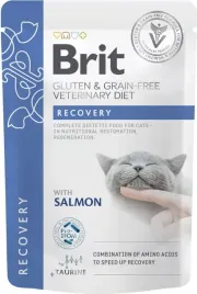 brit-veterinary-karma-weterynaryjna-dla-kota-rekonwalescencja-recovery-85g