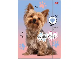 teczka-z-gumka-szkolna-a4-my-little-friend-grey-york-pies