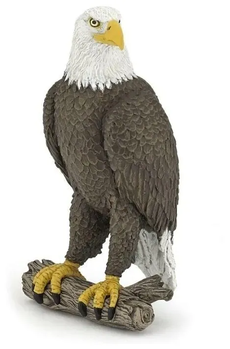 orzel-bielik-papo