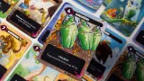 mindbug-portal-games-minimalna-liczba-graczy-2