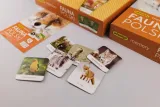 fauna-polski-memory-adamigo-rodzaj-dodatek