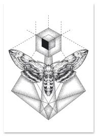 plakat-czarnobialy-cma-motyl-geometria-70x100-cm