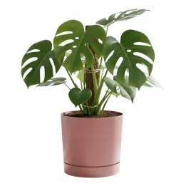 doniczka-z-podstawka-okragla-o239-cm-matowa-kolor-rozowy