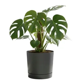 doniczka-z-podstawka-okragla-o292-cm-matowa-kolor-antracytowy
