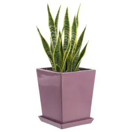 doniczka-ceramiczna-17x24-cm-szkliwiona-podstawek-roz-oslonka-wysoka-wewn