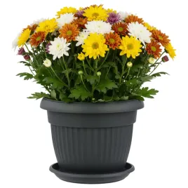 donica-okragla-25cm-podstawka-doniczka-cmentarna-na-kwiaty-jesien-antracyt