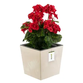 doniczka-skrzynka-beton-efekt-kremowy-wklad-75l
