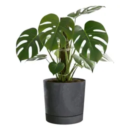 doniczka-oslona-okragla-beton-antracyt-mat-o239cm