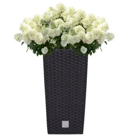 donica-wysoka-wklad-rattan-32x32x61cm-antracyt