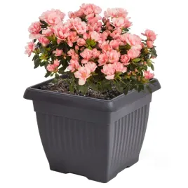 doniczka-oslonka-kwadratowa-tradycyjna-24-cm-antracytowy-tworzywo