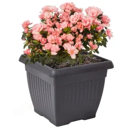 doniczka-oslonka-kwadratowa-tradycyjna-30-cm-antracytowy-tworzywo